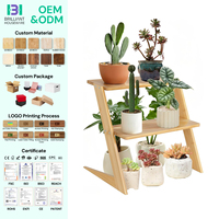 Rak Tanaman Kayu Bambu BH, 3 Tingkat, untuk Meja/Countertop, Rak Tanaman Kecil dengan Rak yang Dapat Disesuaikan
