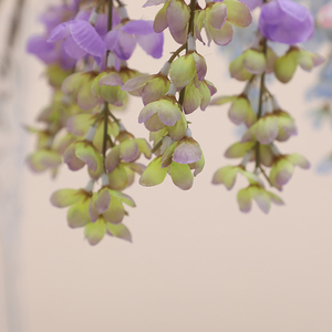 Fleurs artificielles en soie Abelia Wisteria pour aménagement paysager, art floral suspendu pour salles de mariage, hôtels, Thanksgiving, douces - Product Image 3