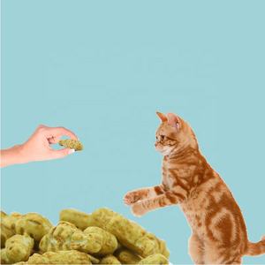 מפעל n4p ישיר דגים באיכות גבוהה נענע דגים ביסקוויט לחתולים-פינוקים למזון אוניברסלי לחתולים וכלבים - Product Image 4