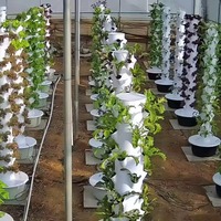 Système de culture vertical aéroponique à étages personnalisés avec pompe et lumière LED pour balcon, serre, ferme urbaine intérieure, garantie 1 an