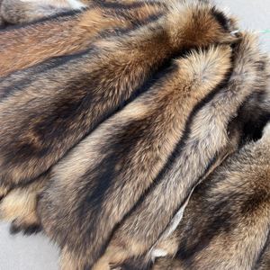 Pelle di Volpe Bianca Naturale e Pelliccia di Procione di Alta Qualità per Accessori di Lavorazione dell'Abbigliamento - Product Image 5