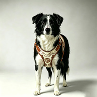 Fournisseur en gros d'articles pour animaux de compagnie, harnais pour chien en cuir rembourré ergonomique réglable de luxe pour les grands chiens