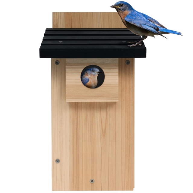 Nature Way Cedar Bluebird Nesting House with Clear Observation Window Enhanced Ventilation & Clean-Out Access Black Roof