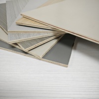 Panneau de contreplaqué décoratif mélaminé de qualité fabricant vérifié, surface résistante à l'humidité, qualité mobilier