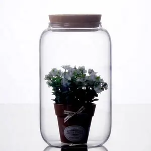 Borosilicaatglas Biodome Regenwoud Terrarium Met Kurk Voor Home Decoratie