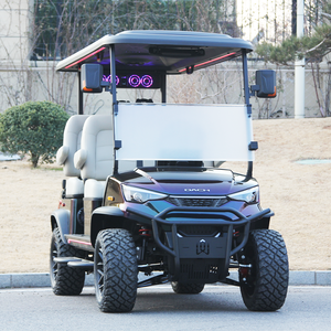 Voiture de golf F14 H4, nouvelle tendance, buggy 4 places, voiture surélevée - Product Image 2