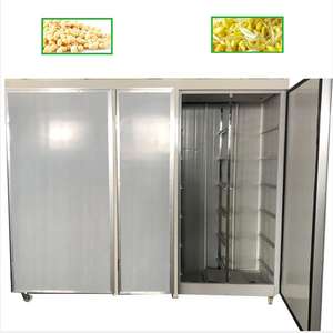 Máquina Multifuncional y Duradera para Cultivo de Brote de Soja Mung, Hecha en China - Product Image 4