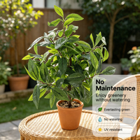 Realistischer PE Künstlicher Lorbeerbaum im Topf Frühlings-Bonsai Kleine Künstliche Grünpflanze für Heim- und Bürodekoration Direkt vom Hersteller