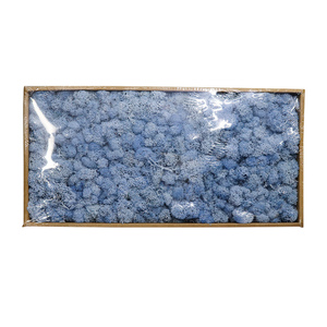 Y irlandesa de pared decorativo musgos panel césped <span class=keywords><strong>artificial</strong></span> moss - Product Image 5