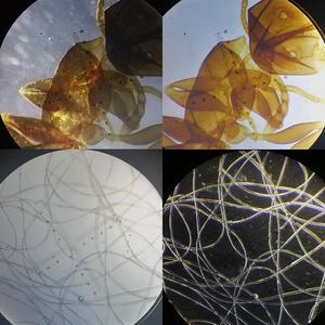 Juego de Placas de Campo Oscuro para Microscopio OPTO-EDU A5D.0001 - Product Image 6