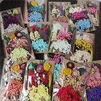 Idées de nouveaux produits 2023, vente par le fabricant, matériaux de décoration en fleurs séchées pour bougies parfumées pour la Saint-Valentin, séchées