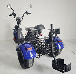 2026 3-Wheel Cargo Driewieler Gemotoriseerde Motorfiets Truck Voor Volwassenen Citycoco 2000W Elektrische Scooter 200-300Kg Laadvermogen 30-50 Km/h - Product Image 6