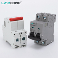 Disyuntor en miniatura de 1000V CC Montaje en riel Din de cobre MCB para uso comercial e industrial Voltaje nominal 250V