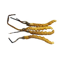 Extrait de Mycélium de Cordyceps Sinensis Sauvage Entier Séché en Gros, Poudre de Fleur de Champignon Longrich Militaris