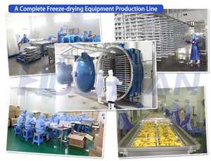 Machine de lyophilisation sous vide de fruits de 2 tonnes, lyophilisateur certifié CE pour la transformation alimentaire, avec <span class=keywords><strong>pompe</strong></span> <span class=keywords><strong>à</strong></span> <span class=keywords><strong>chaleur</strong></span> électrique et moteur Ti - Product Image 4