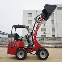 Caricatore Multifunzione a Batteria Nuovo Design Carico Nominale 500kg Caricatore Frontale Elettrico DY25E