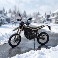 Nouvelle Moto Électrique Tout-Terrain Surron Ultra Bee 2026, Vitesse 95 km/h, Modes Multiples, Course en Extérieur, E-Moto