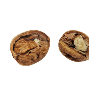 Fournitures de <span class=keywords><strong>noyer</strong></span> Nature, nouveau, <span class=keywords><strong>prix</strong></span> <span class=keywords><strong>du</strong></span> marché - Product Image 3