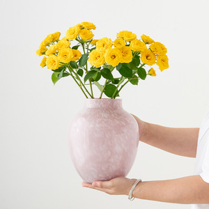 Jarrón de Vidrio Transparente Artístico con Forma de Barriga Grande, con Función Hidropónica, para Sala de Estar, Hotel, Exhibición de Flores, Decoración de Hogar de Lujo - Product Image 4