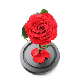 Classics Eternal Rose Preserved Flower In Glass Dome Roses Wholesale Beauty Eternal Preserved Flower Preserved Roses