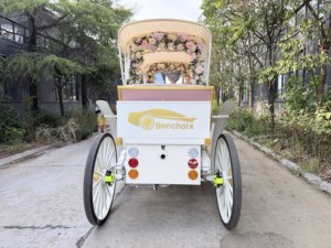 Carroza de Cenicienta Personalizada con Diseño Floral, Vehículo Eléctrico de Lujo de Cuatro Ruedas para Turismo, Fabricante de Transporte Especializado - Product Image 3