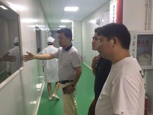 Bubuk Protein herbal alami penambah berat badan, bubuk makanan kolagen laut dengan kekuatan pinggul dan kulit bersinar - Product Image 6