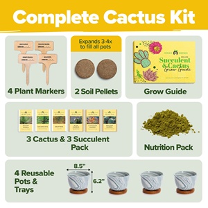 Kit Unico <span class=keywords><strong>per</strong></span> Giardino Interno con Vasi in Ceramica <span class=keywords><strong>per</strong></span> Succulente e Cactus, Terriccio, Vassoi Raccogligocce e Guida al Coltivazione - da Appendere al Pavimento - Product Image 4