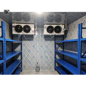 Produits les plus vendus sur Alibaba machine tout-en-un chambre froide réfrigérateur congélateur facile à utiliser - Product Image 1