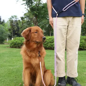 ペット犬用斜めロープの卸売リーシュウォーク多目的反射牽引ロープペットアクセサリー用リーシュ