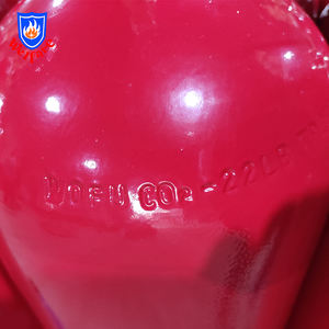 רווחה eculador סוג 22lbs co2 מטפח אש עם 99% גז co2 טהור צינור גומי שחור עבור דיכוי אש - Product Image 5