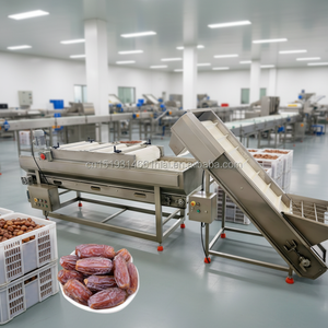 Machine de lavage de dattes, machine de lavage de dattes Kimia, ligne de machines de lavage et de séchage de pâte de dattes - Product Image 4