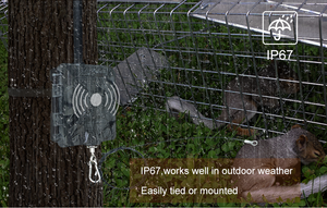 Keepguard ציד מלכודת אזעקה כרטיס SIM אלחוטי חיה כלוב מלכודת אזעקה - Product Image 6