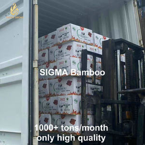 Sigma Best Bamboo Hookah Carbón de leña 2-3 horas Tiempo de combustión Sin humo Inodoro Bamboo Panda Carbón de leña 12kg - Product Image 6