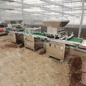 Automatic Drip-plate Seeding Machine Vegetable Seed Point Seeder Needle Suction Turnip Seeding Machine