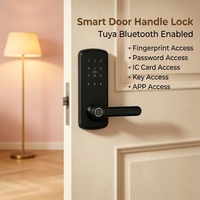Hot Item Digital Smart Lock 6070 Standard Lock Body HR Security Lock Multi Options for Villa Hospitality