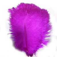 Plumes d'autruche décoratives en or, 10 "-12", plumes naturelles, pour mariage, fête, maison