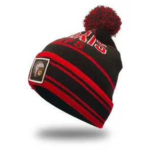 Custom Logo Unisex Jacquard Voetbal Gratis Gebreide Wollen Winter Muts Met Pom Pom