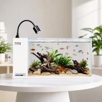 Ensemble d'aquarium de bureau tout-en-un en gros, aquarium en verre personnalisable directement de l'usine avec filtre à goutte et projecteur pour les achats en gros