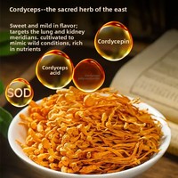 Complément Alimentaire Énergétique en Gélules au Cordyceps Militaris et au Ginseng avec Extrait de Maca pour Personnes d'Âge Moyen et Âgées 45g