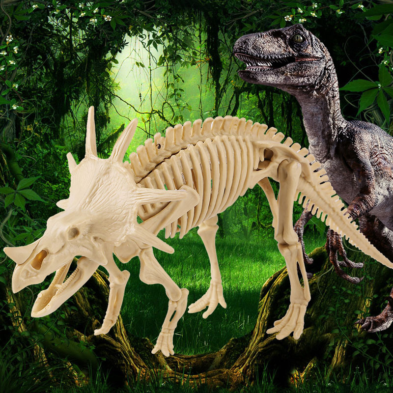 Hastodon squelette + manuel