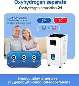 Portable 99.99% Pureté 3000ml Inhalateur D'hydrogène Grand Débit HHO Machine Respiratoire <span class=keywords><strong>H2</strong></span> Générateur D'hydrogène pour Personne Utilisation Clinique - Product Image 2