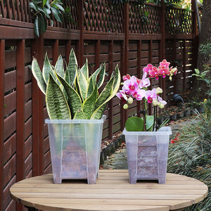 Dendrobium – <span class=keywords><strong>Pot</strong></span> d'orchidées artificielles en <span class=keywords><strong>Pot</strong></span>, fausse plante, fleurs en soie, jardinière d'orchidées, Pots de fleurs - Product Image 1
