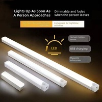 Bande lumineuse LED sans fil magnétique rechargeable à détecteur de mouvement, 3 couleurs réglables, 50 cm, pour porte d'entrée, hall d'entrée