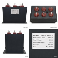 Condensateur à film polypropylène métallisé Liyang 2200VDC 900μF à décharge haute énergie pour testeur de défauts de câble