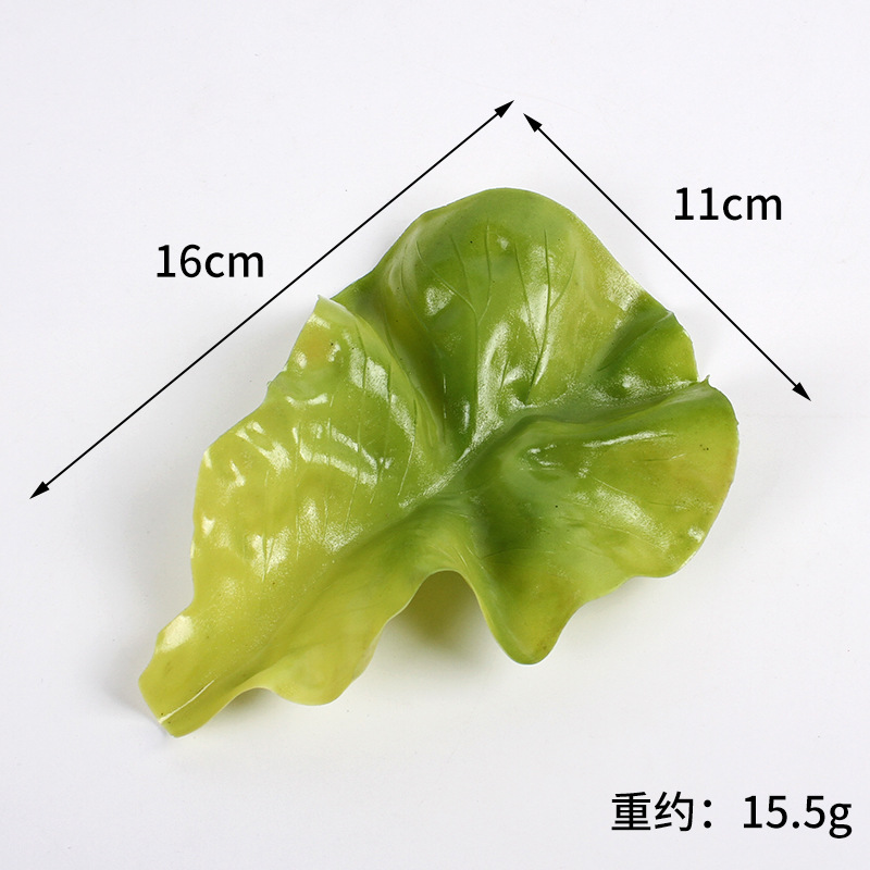 Petites feuilles de laitue foncées