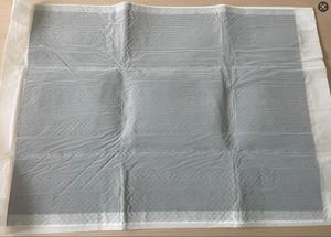 Vente directe usine – Nouveau modèle petit format 33*45 – Tapis d'apprentissage absorbant antibactérien pour chiots - Product Image 4