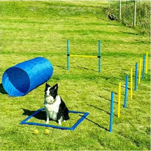 <span class=keywords><strong>Collier</strong></span> de dressage pour <span class=keywords><strong>chien</strong></span> anti-aboiement électrique avec télécommande pour l'agility canine - Product Image 5