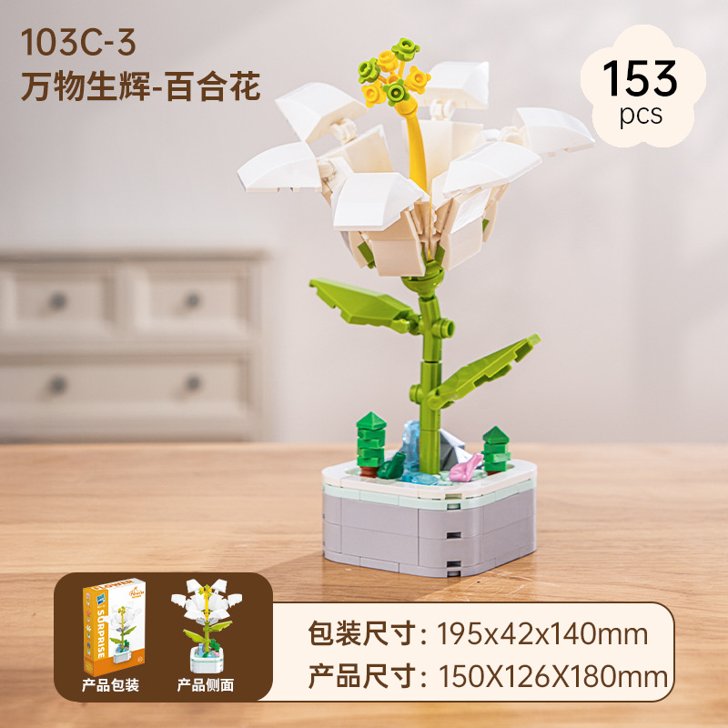 Lily