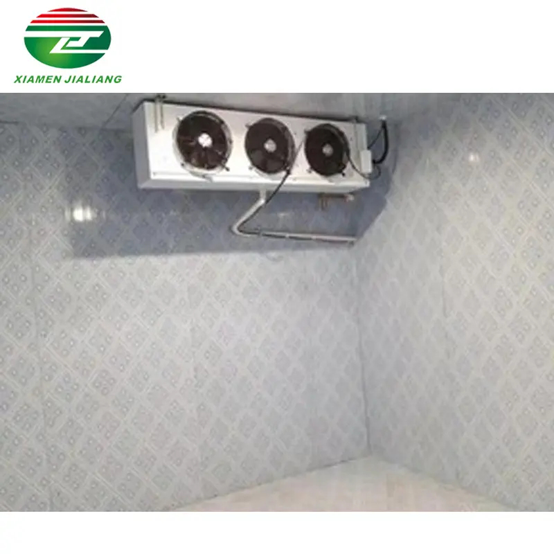 Alta capacidade portátil armazenamento frio coolroom refrigeração industrial para Freezer Room