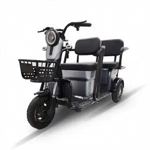 Brand New 60V 3 Wheel Cargo Triciclo Adulti Coperto Or Family Use
